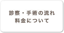 診察・手術の流れ・料金について